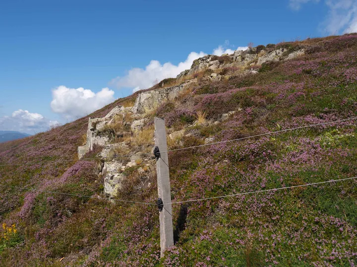 Le Grand Ballon (Frankrijk)